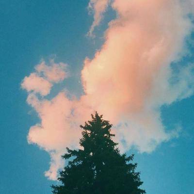 龙族荣耀官方游戏下载
